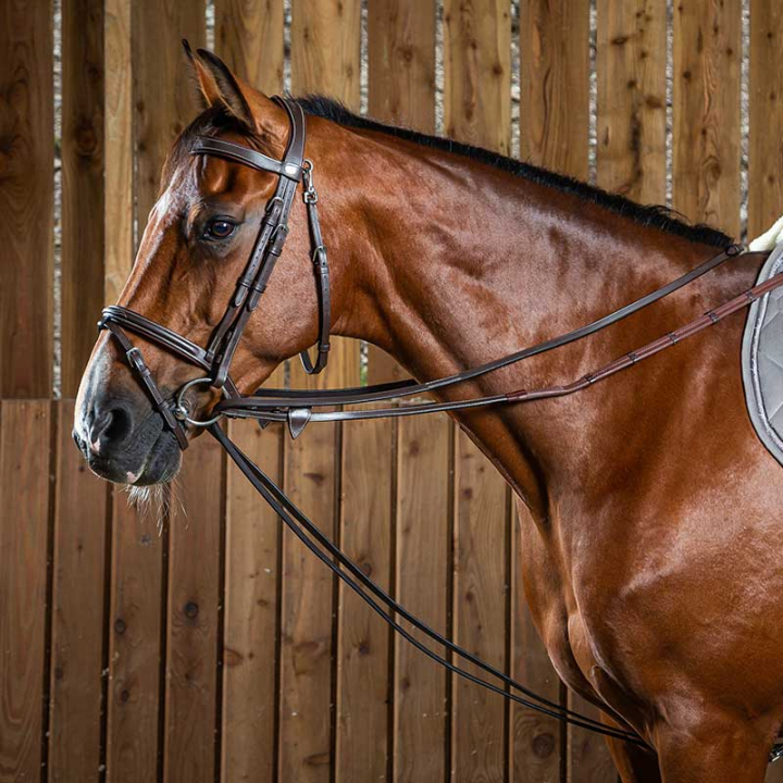 Haczyk Reń 13mm WC Brązowy w grupie Akcesoria dla koni / Wyczeski / Pomocnicze wodze przy Equinest (0510076100201_B_r)