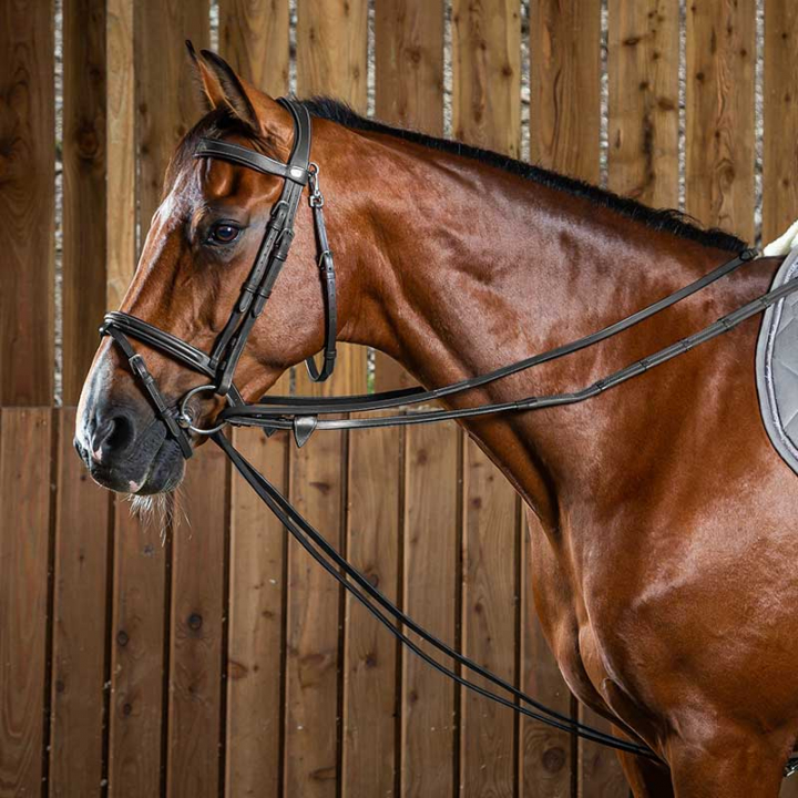 Haczyk Reń 13mm WC Czarny w grupie Akcesoria dla koni / Wyczeski / Pomocnicze wodze przy Equinest (0510076100201_S_r)