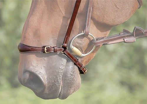 Zdejmowany nachrapnik bez wędzidła brązowy w grupie Akcesoria dla koni / Wędzidła i nagłówki / Akcesoria do wędzideł przy Equinest (0523B637_B_r)