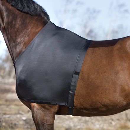 Ochrona na ramię Lycra w grupie Derki dla koni / Akcesoria do derki konnej / Ochronniki barków przy Equinest (0756__r)