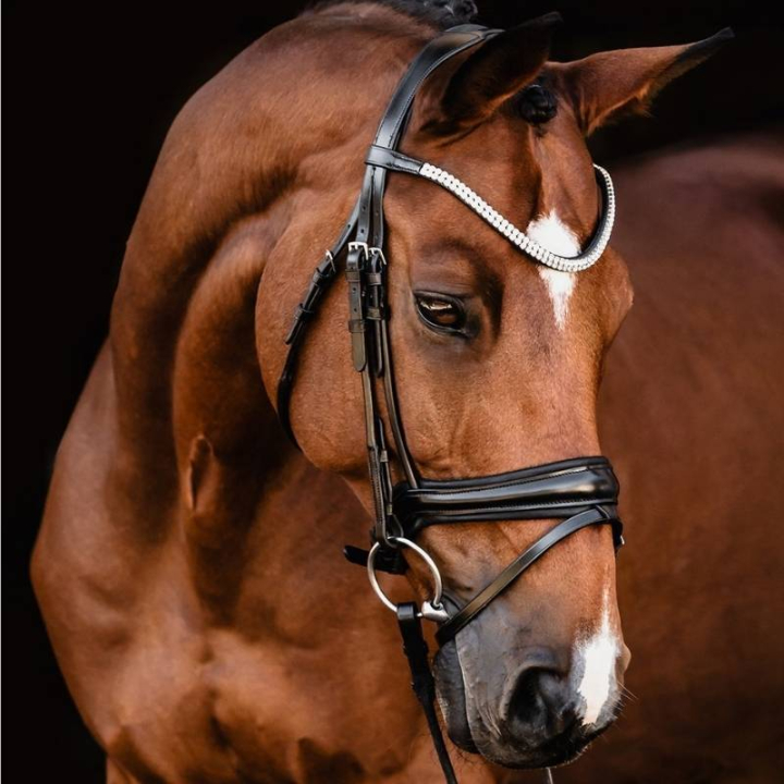 Ogłowie ujeżdżeniowe Isabell Werth Johnny Czarne w grupie Sprzęt dla konia / Ogłowia i naczółki / Ogłowia ujeżdżeniowe przy Equinest (1000911BA_r)