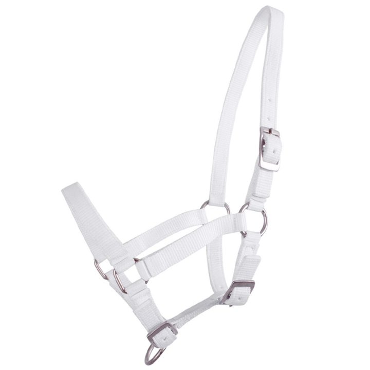 Kantar dla źrebięcia Adjustable Biały w grupie Akcesoria dla koni / Nagliniki / Kantary dla źrebiąt przy Equinest (1047WIV1WH_r)