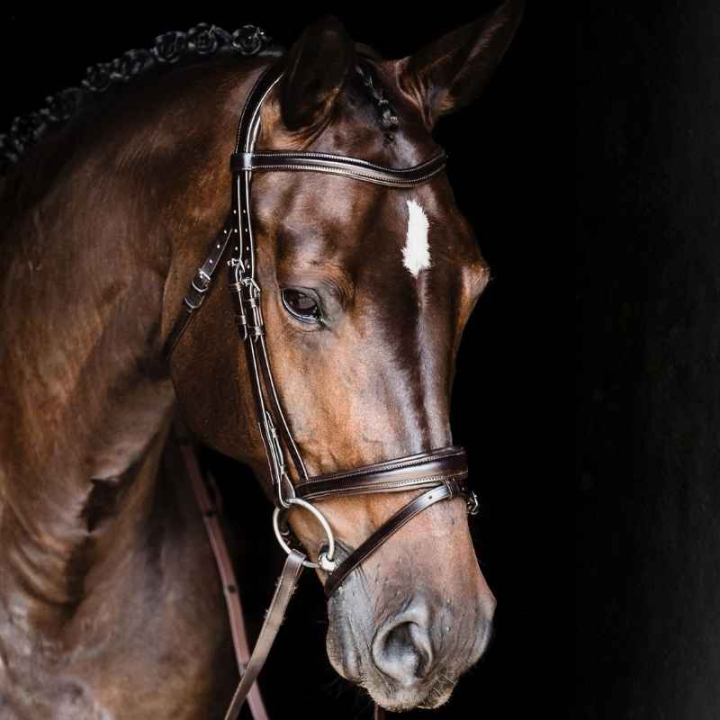 Ogłowie Monza Brązowe w grupie Sprzęt dla konia / Ogłowia i naczółki / Ogłowia przy Equinest (1100000813BR_r)