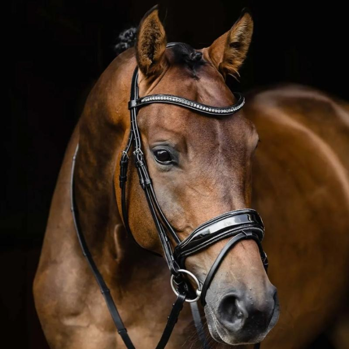 Ogłowie ujeżdżeniowe Stanford Glam Czarne w grupie Sprzęt dla konia / Ogłowia i naczółki / Ogłowia ujeżdżeniowe przy Equinest (1101000681BA_r)