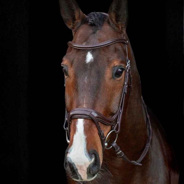 Ogłowie Ancona Select Brązowe w grupie Sprzęt dla konia / Ogłowia i naczółki / Ogłowia przy Equinest (1101000733BR_r)