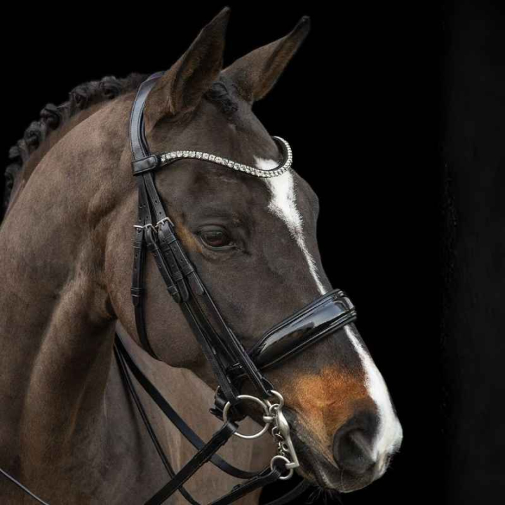 Ogłowie munsztukowe Milazzo Czarne w grupie Sprzęt dla konia / Ogłowia i naczółki / Ogłowia ujeżdżeniowe przy Equinest (1111000161BA_r)