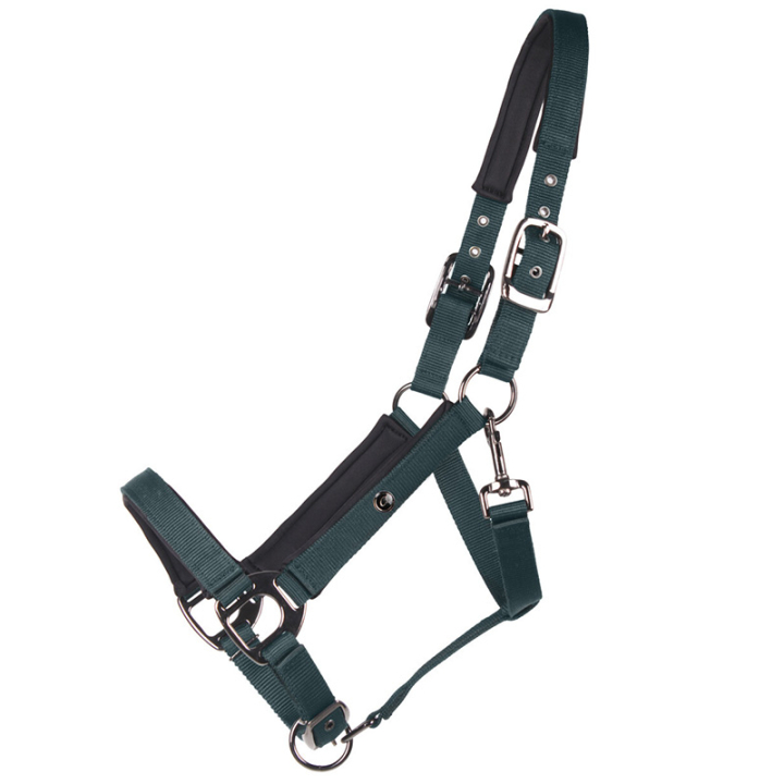 Nylonowy Kantarek Deluxe Ciemnozielony w grupie Akcesoria dla koni / Nagliniki / Skórzane i nylonowe kantary przy Equinest (1125DGR3DGN_r)