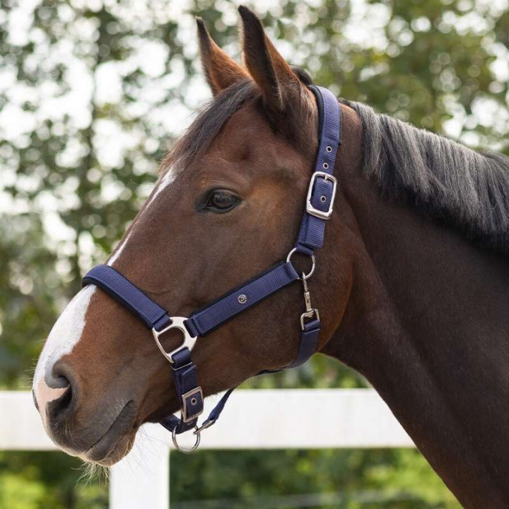 Kantar Deluxe Granatowy w grupie Sprzęt dla konia / Kantary / Kantary materiałowe i nylonowe przy Equinest (1125NA3NA_r)