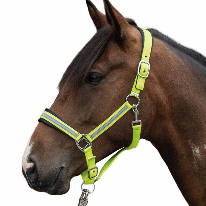 Kantar odblaskowy Żółto/Srebrny w grupie Sprzęt dla jeźdźca / Odblaski i refleksy przy Equinest (14191YE)