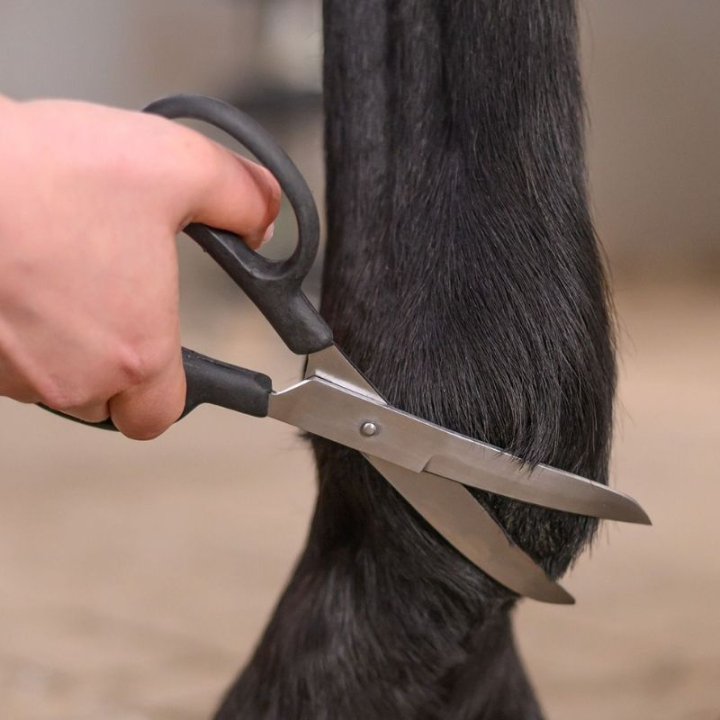 Nożyczki Fetlock Shears Bend Czarne w grupie Pielęgnacja i zdrowie / Szczotki / Nożyczki i noże trymerskie przy Equinest (154200BA)