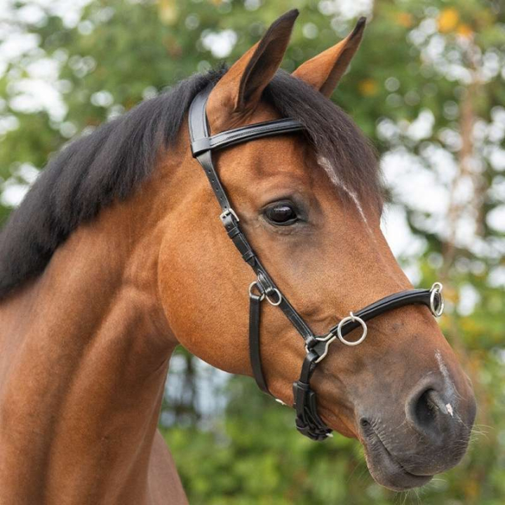 Kawecan Leather Czarny w grupie Sprzęt dla konia / Lonżowanie i praca z ziemi przy Equinest (1699BA)
