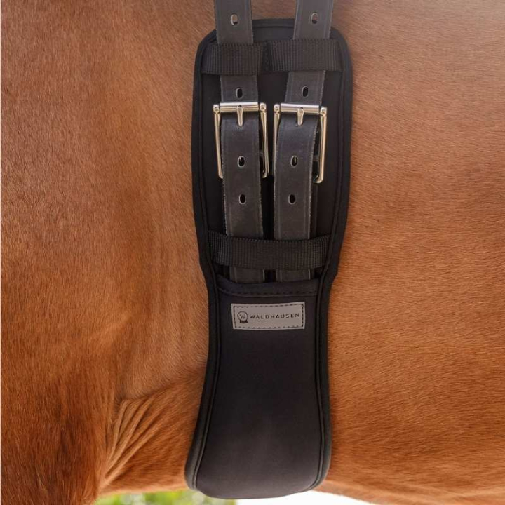 Popręg ujeżdżeniowy Gel Czarny w grupie Sprzęt dla konia / Popręgi / Popręgi ujeżdżeniowe przy Equinest (19047010BA_r)