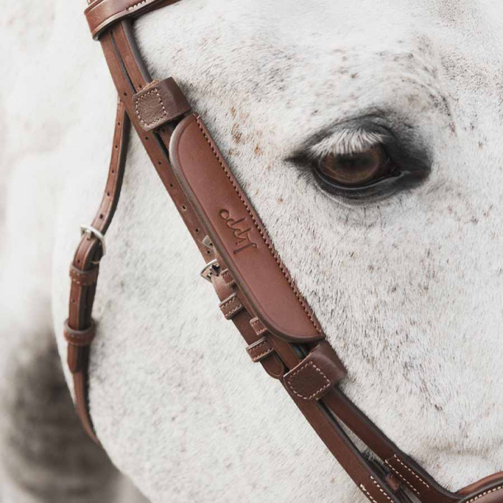 Blinkersy Supreme Oak Bark w grupie Sprzęt dla konia / Ogłowia i naczółki / Akcesoria do ogłowia  przy Equinest (201253OB_r)