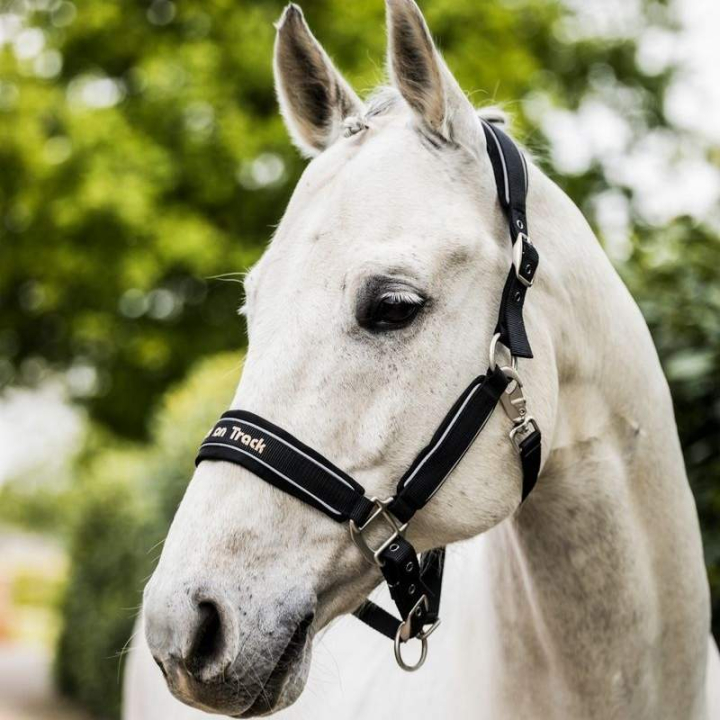 Kantar Werano Reflex Czarny w grupie Sprzęt dla konia / Kantary / Kantary materiałowe i nylonowe przy Equinest (20689000BA_r)