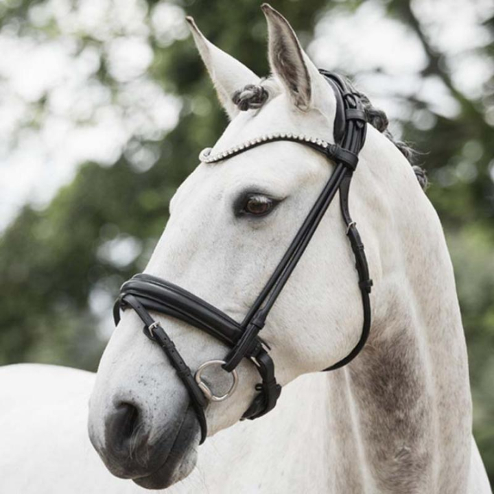 Ogłowie Ujeżdżeniowe Caselle Supreme Czarne w grupie Sprzęt dla konia / Ogłowia i naczółki / Ogłowia ujeżdżeniowe przy Equinest (208513BA_r)