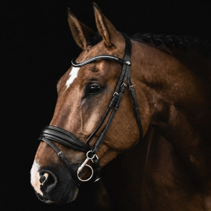 Ogłowie Ujeżdżeniowe Integro Czarne w grupie Sprzęt dla konia / Ogłowia i naczółki / Ogłowia ujeżdżeniowe przy Equinest (208613Sv_r)