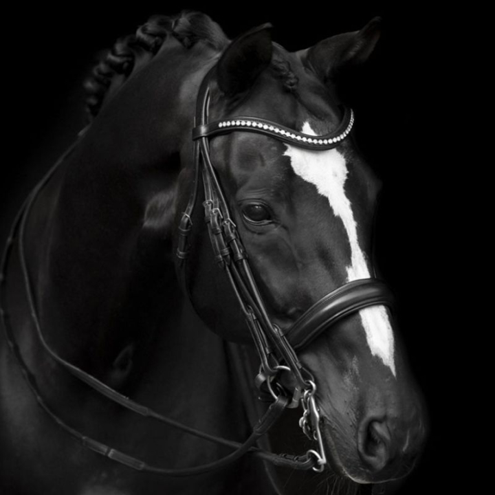 Ogłowie munsztukowe Delicato Supreme Czarne w grupie Sprzęt dla konia / Ogłowia i naczółki / Ogłowia ujeżdżeniowe przy Equinest (208813BA_r)