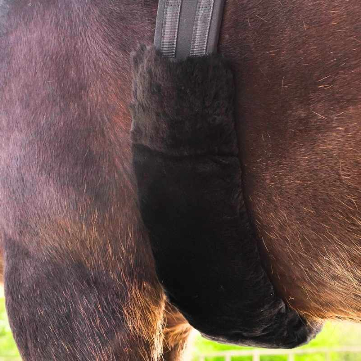 Nakładka na popręg Lambskin Czarna w grupie Sprzęt dla konia / Popręgi / Rękawy na popręg przy Equinest (21443001BA)