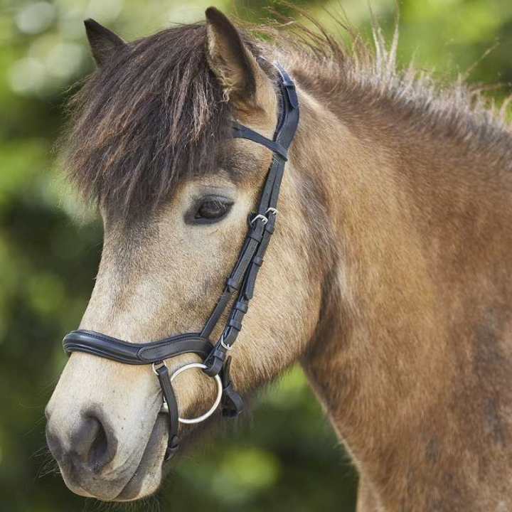 Ogłowie islandzkie Anatomic Czarne w grupie Sprzęt dla konia / Ogłowia i naczółki przy Equinest (2279001BA)