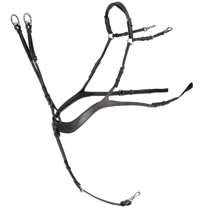 Napierśnik Anatomiczny z wytokiem Czarny/Srebrne okucia w grupie Sprzęt dla konia / Wytoki i napierśniki / Napierśniki przy Equinest (235813BASI_r)