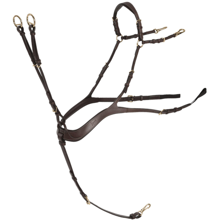 Napierśnik Anatomiczny z wytokiem Chocolate/Złote okucia w grupie Sprzęt dla konia / Wytoki i napierśniki / Napierśniki przy Equinest (235873CHGO_r)