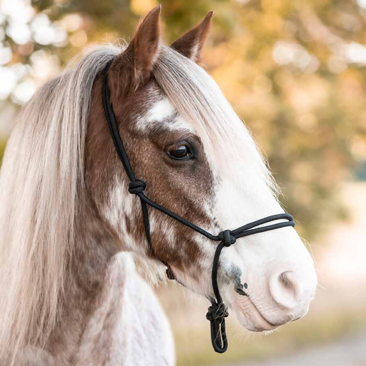 Halter Polypropylene  Czarny w grupie Sprzęt dla konia / Kantary / Kantary sznurkowe przy Equinest (240012BA_r)