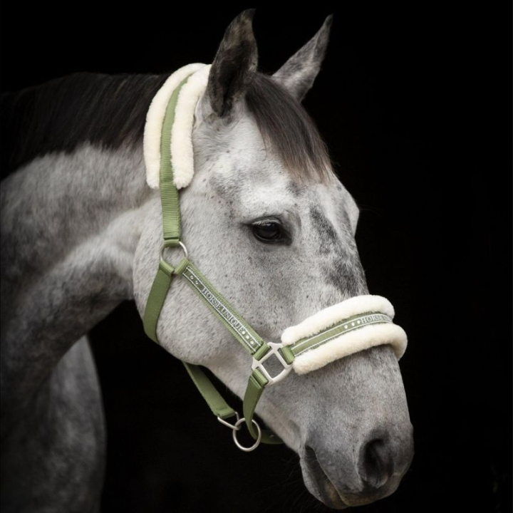 Kantar z futerkiem Oliwkowa zieleń/Natural w grupie Sprzęt dla konia / Kantary / Kantary materiałowe i nylonowe przy Equinest (243012Gn_r)