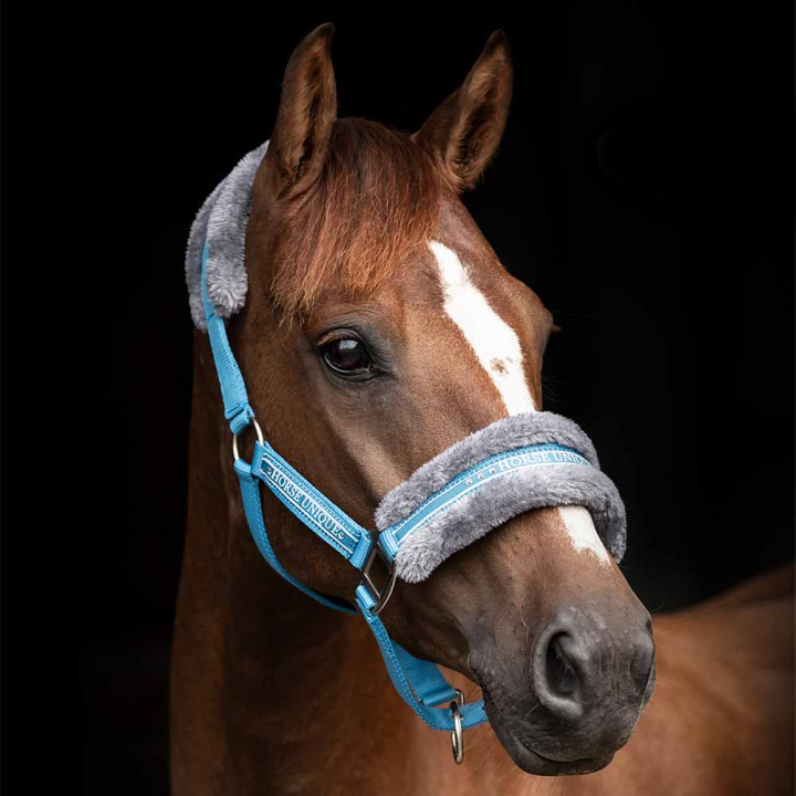 Kantar z futerkiem Morski błękit/Szary w grupie Sprzęt dla konia / Kantary / Kantary materiałowe i nylonowe przy Equinest (243012LjBl_r)
