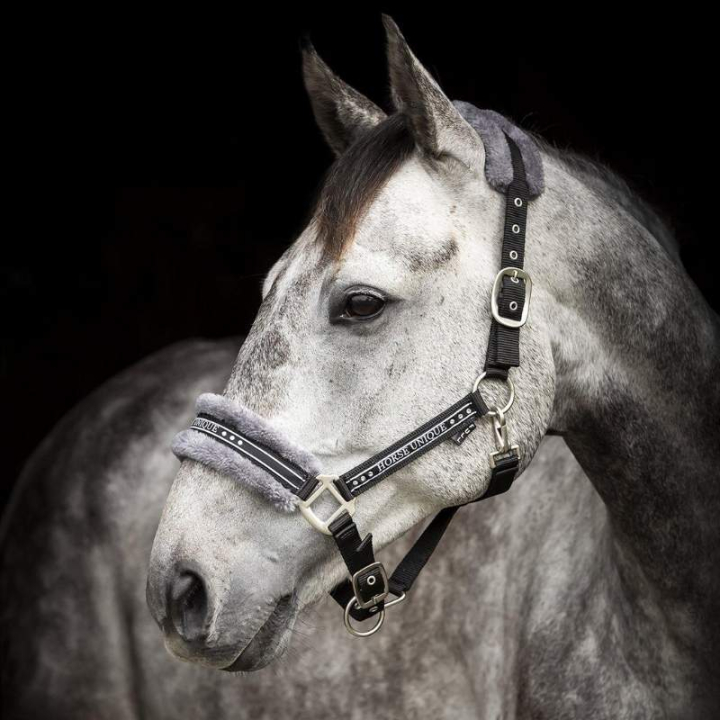 Kantar z futerkiem Czarno/Szary w grupie Sprzęt dla konia / Kantary / Kantary materiałowe i nylonowe przy Equinest (243012Sv_r)