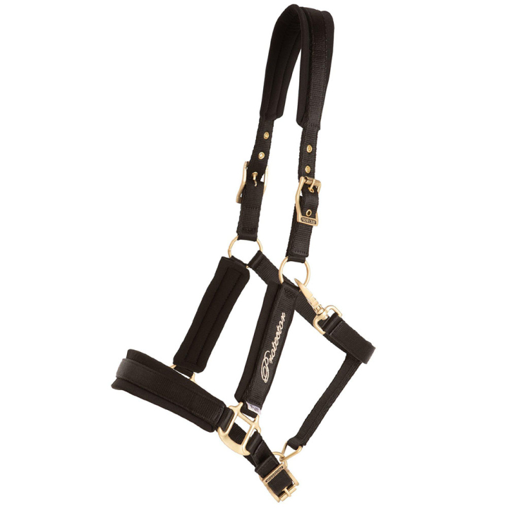 Kantar Comfort Czarny w grupie Sprzęt dla konia / Kantary przy Equinest (244312BA_r)