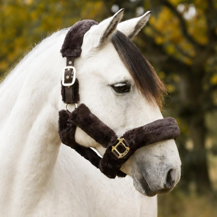 Kantar Cozy z futerkiem Brązowy w grupie Sprzęt dla konia / Kantary / Kantary materiałowe i nylonowe przy Equinest (246012Br_r)