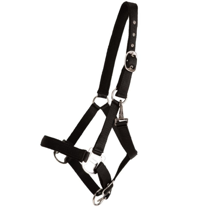 Kantar Double Buckle Czarny w grupie Sprzęt dla konia / Kantary / Kantary materiałowe i nylonowe przy Equinest (246212BA_r)