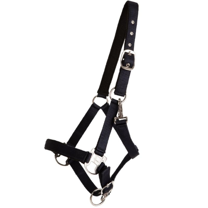 Kantar Double Buckle Granatowy w grupie Sprzęt dla konia / Kantary / Kantary materiałowe i nylonowe przy Equinest (246222NA_r)