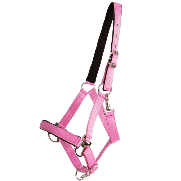 Kantar Double Buckle Różowy w grupie Sprzęt dla konia / Kantary / Kantary materiałowe i nylonowe przy Equinest (246262PI_r)