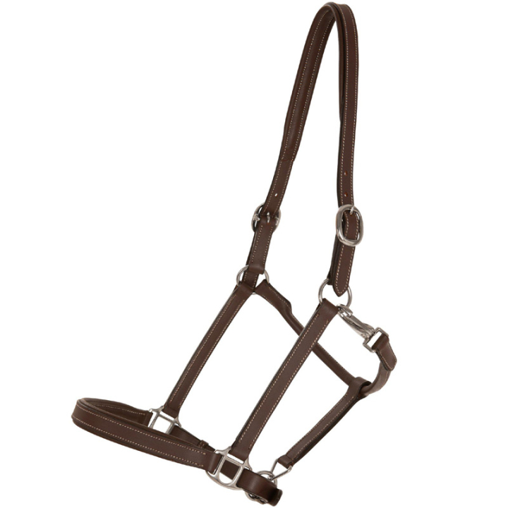 Skórzana kantar Slim Basic Brązowy w grupie Akcesoria dla koni / Nagliniki / Skórzane kantary przy Equinest (246562BR_r)