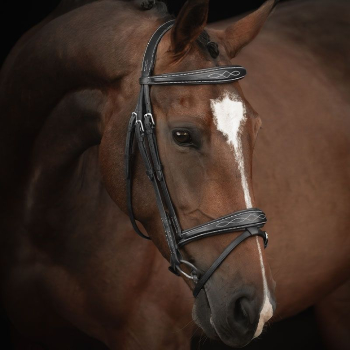 Ogłowie Supreme Fancy czarne w grupie Sprzęt dla konia / Ogłowia i naczółki / Ogłowia przy Equinest (260413BA)