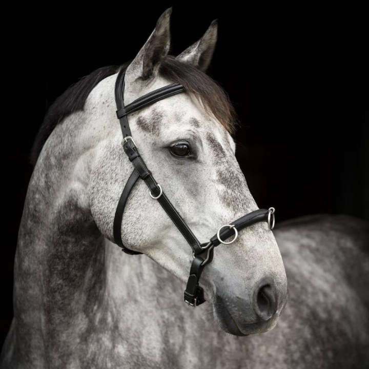 Kawecan Supreme Czarny w grupie Sprzęt dla konia / Lonżowanie i praca z ziemi przy Equinest (280613BA_r)