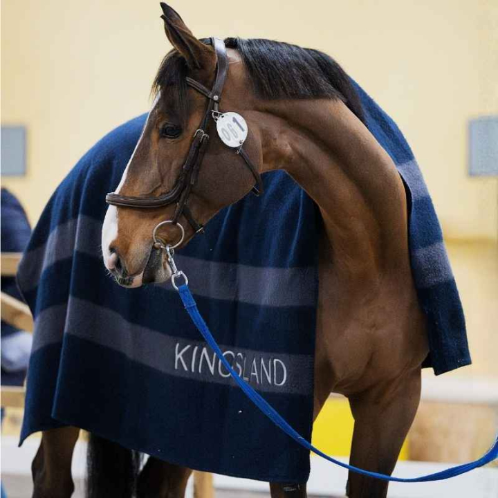Koc wełniany Classic Granatowy w grupie Derki dla koni / Derki Wełniane przy Equinest (3156260202031NA)