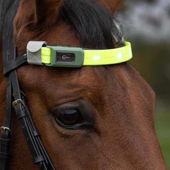 Naczółek High-Visibility LED Żółty w grupie Sprzęt dla jeźdźca / Odblaski i refleksy przy Equinest (3230420YE)