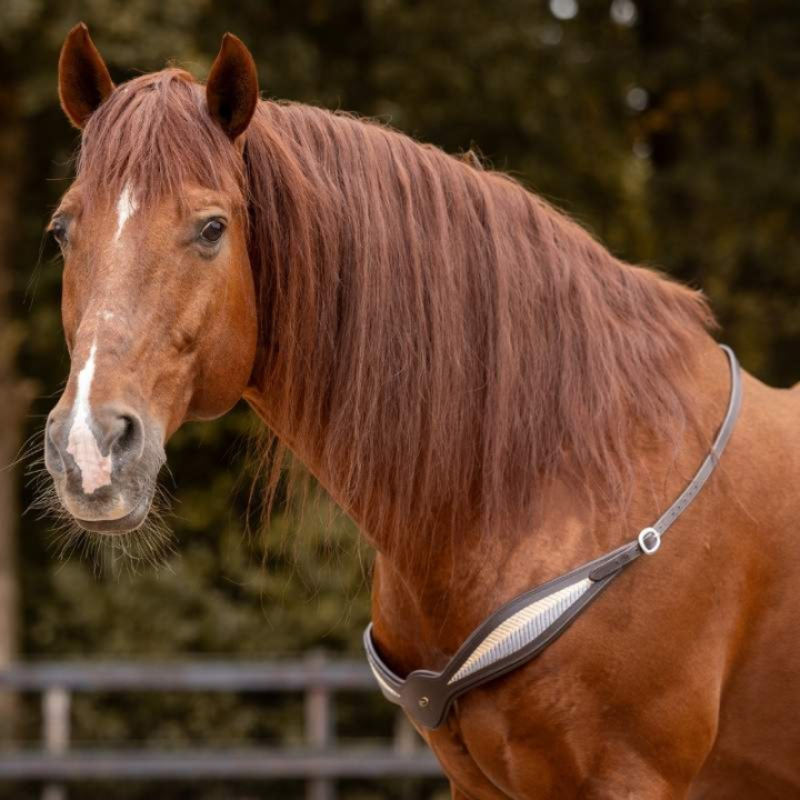 Cordeo skórzane Whisper NH Brązowe w grupie Sprzęt dla konia / Cordeo przy Equinest (3310702418BR)