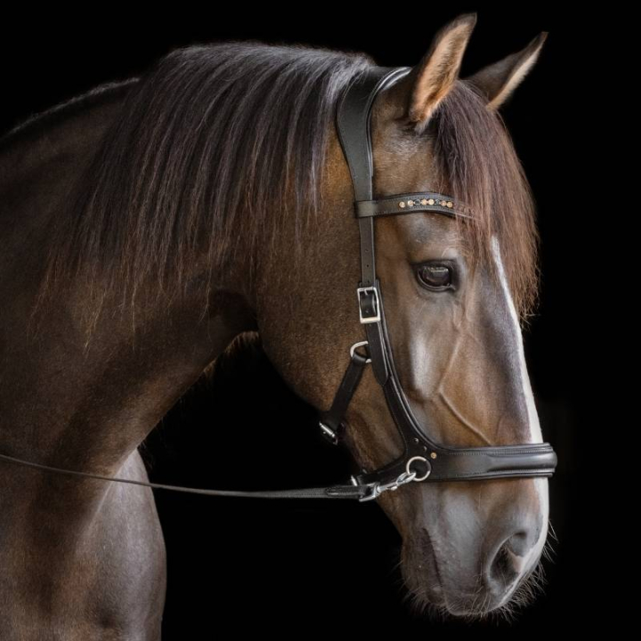 Ogłowie bezwędzidłowe Moonlight Sidepull Czarne w grupie Sprzęt dla konia / Ogłowia i naczółki / Hackamore i ogłowia bezwędzidłowe przy Equinest (3330841817BA_r)