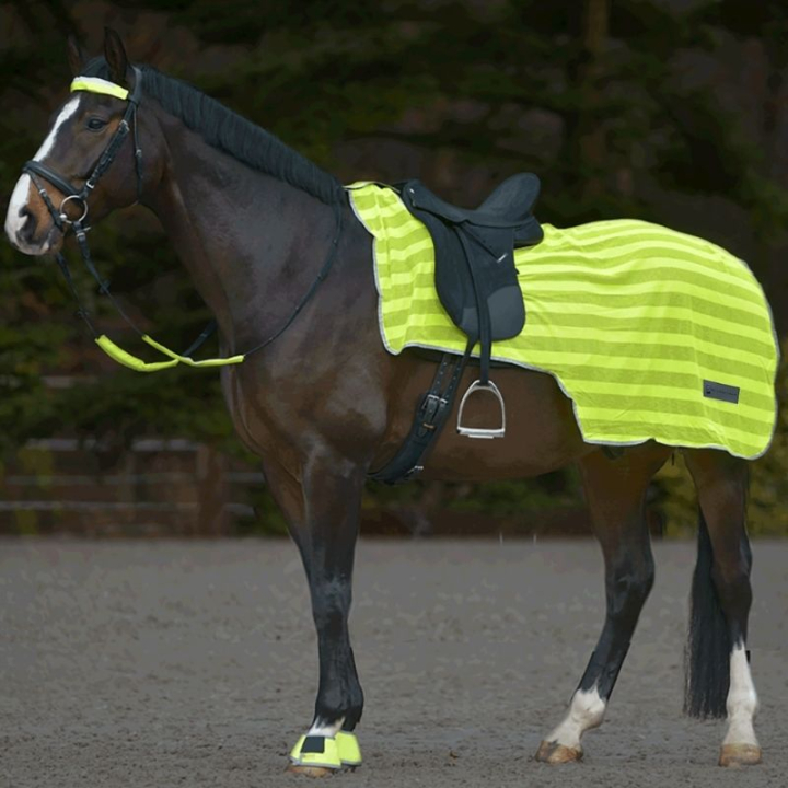 Derka odblaskowa Neon Stripes Żółta w grupie Sprzęt dla jeźdźca / Odblaski i refleksy przy Equinest (380400YE)