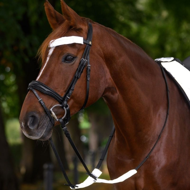 Zestaw odblasków do ogłowia 3 szt. Srebrny w grupie Sprzęt dla jeźdźca / Odblaski i refleksy przy Equinest (380511SI)