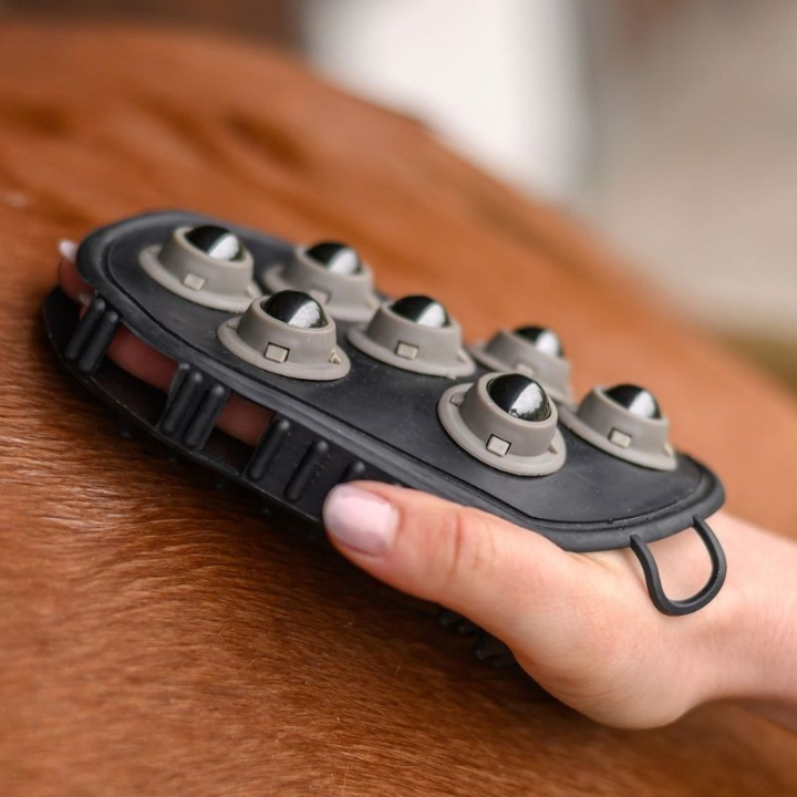 Szczotka pielęgnacyjna Massage Czarna w grupie Pielęgnacja i zdrowie / Szczotki / Rękawice do czyszczenia przy Equinest (3827600BA)