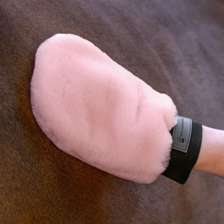 Rękawica pielęgnacyjna Lucky Lambskin Różowa w grupie Pielęgnacja i zdrowie / Szczotki / Rękawice do czyszczenia przy Equinest (3835732PI)