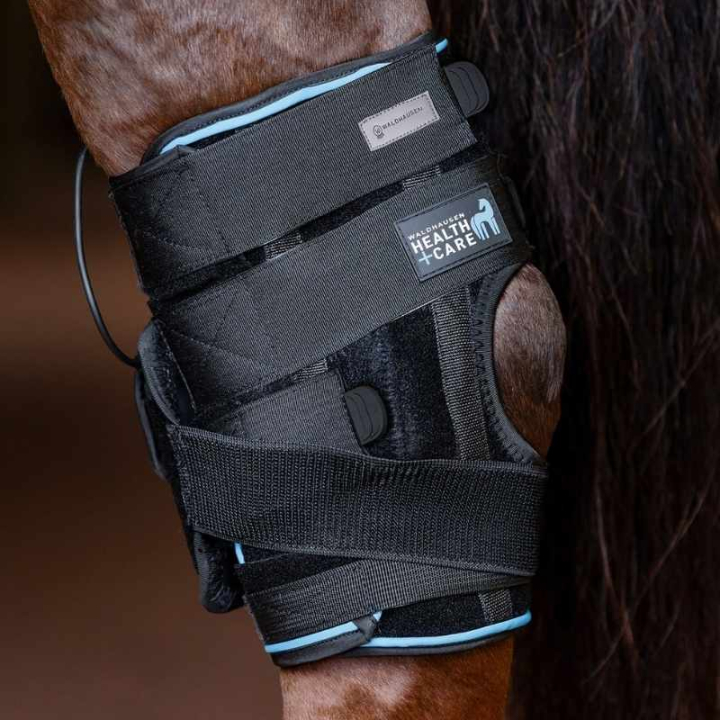 Ochraniacz terapeutyczny Hock Czarny w grupie Pielęgnacja i zdrowie / Masaż i krążenie krwi przy Equinest (386701BA)