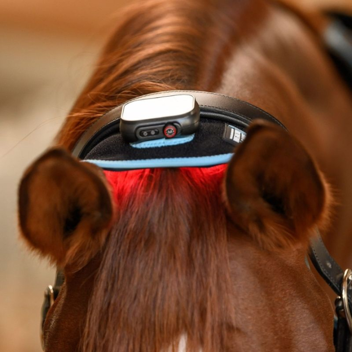 FlexPad Infrared Czarny w grupie Pielęgnacja i zdrowie / Masaż i krążenie krwi przy Equinest (388001BA)