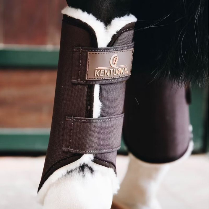 Ochraniacze treningowe Solimbra Hind Brązowe w grupie Sprzęt dla konia / Ochrona nóg / Ochraniacze ujeżdżeniowe i treningowe przy Equinest (42302Br_r)
