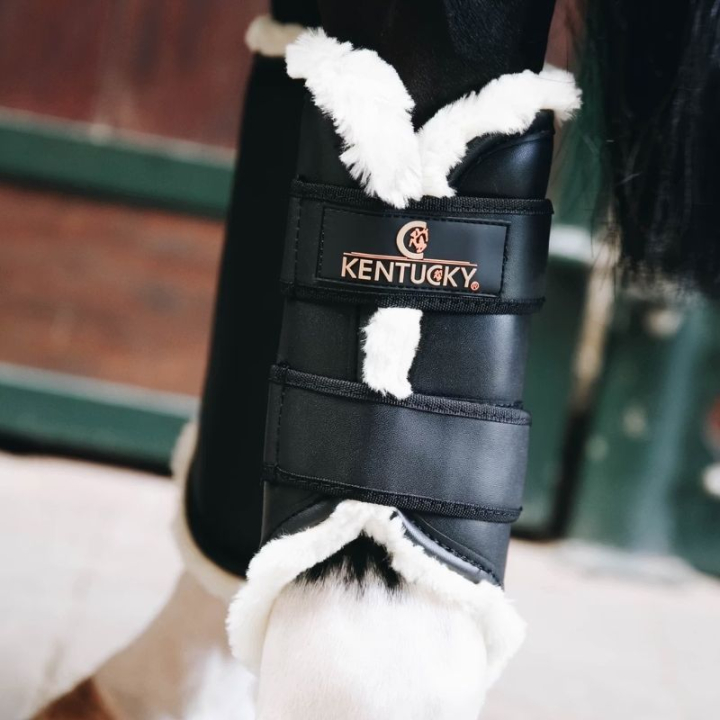 Ochraniacze treningowe Leather Hind Czarne w grupie Sprzęt dla konia / Ochrona nóg / Ochraniacze ujeżdżeniowe i treningowe przy Equinest (4230401FBA_r)