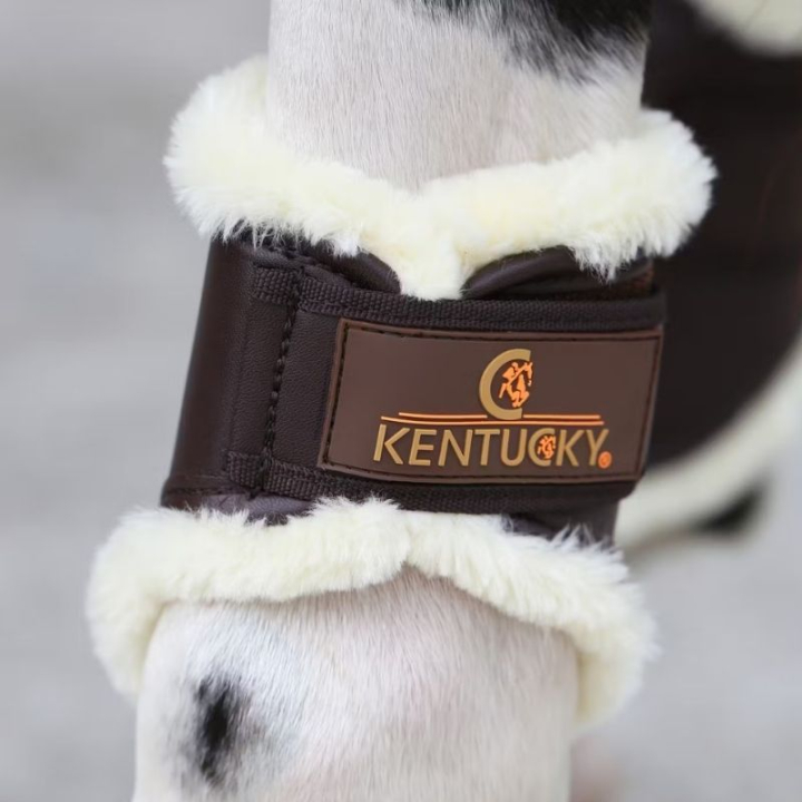 Ochraniacze treningowe Leather Hind Short Brązowe w grupie Sprzęt dla konia / Ochrona nóg / Ochraniacze ujeżdżeniowe i treningowe przy Equinest (4230505FBR_r)